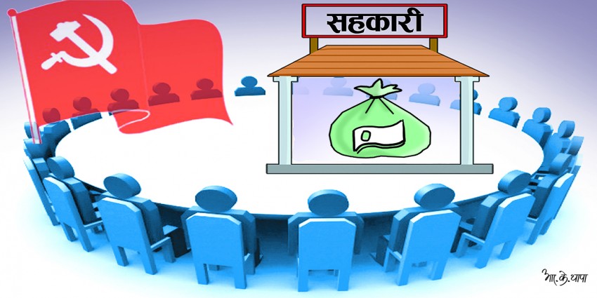 सहकारी व्यवस्थापन समितिको ‘विज्ञ’ मा कार्यकर्ता