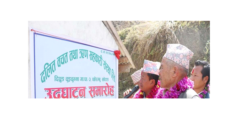 एक वडा एक दलित सहकारी