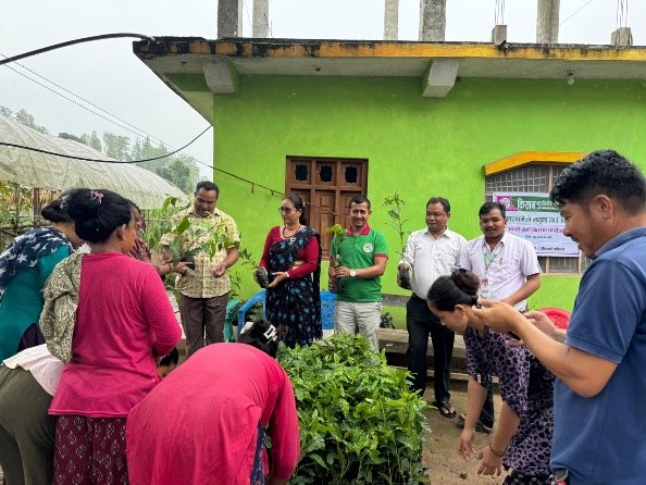किसान सहकारीको पहलमा वातावरणमैत्री नमुना गाउँ